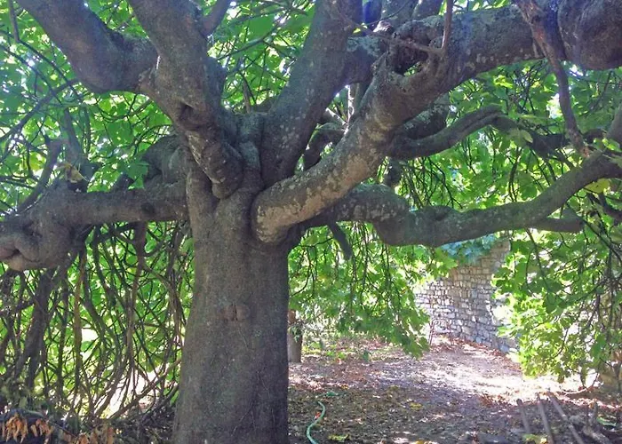 Appartement Casa Fabrizio *